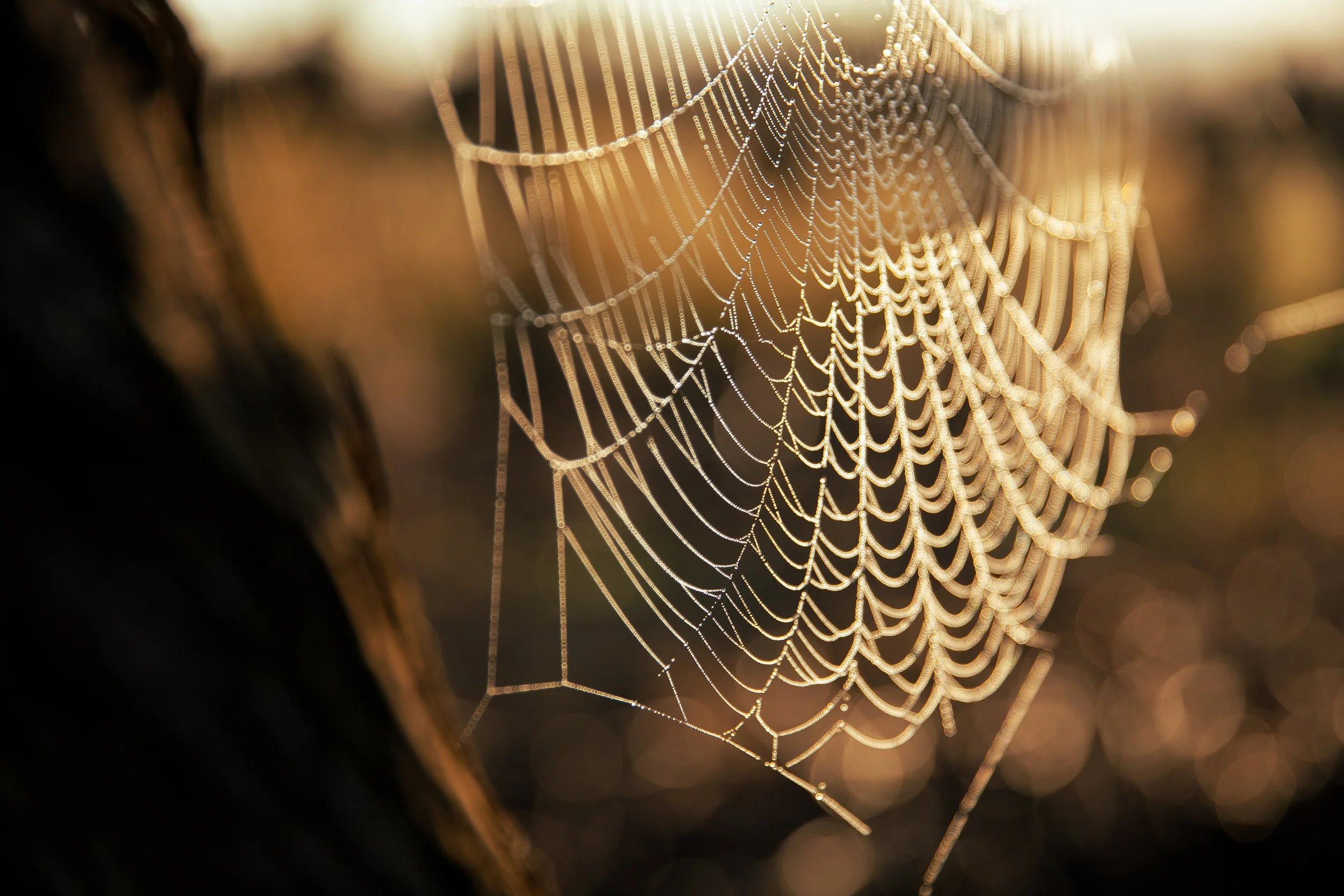 Day 03_IMG_7005_1.jpg