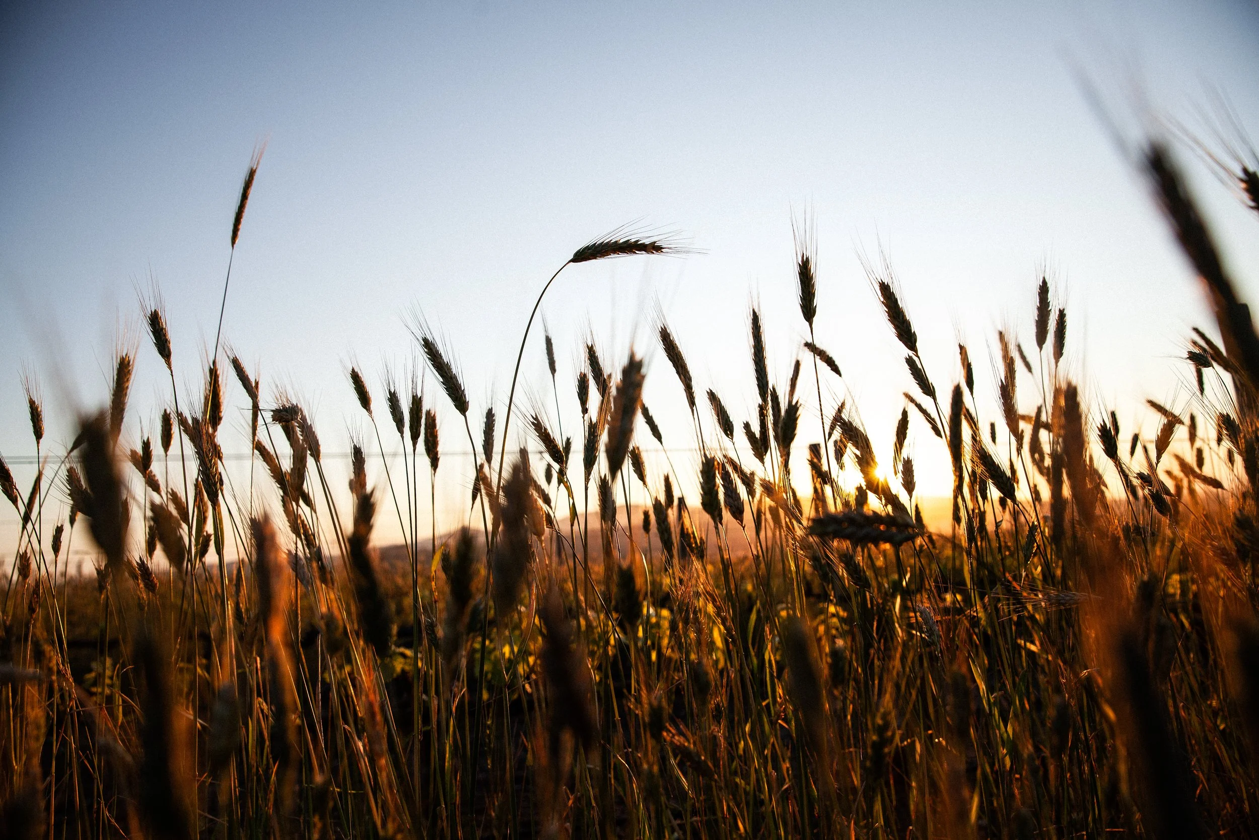 Day 02_IMG_6943_1.jpg