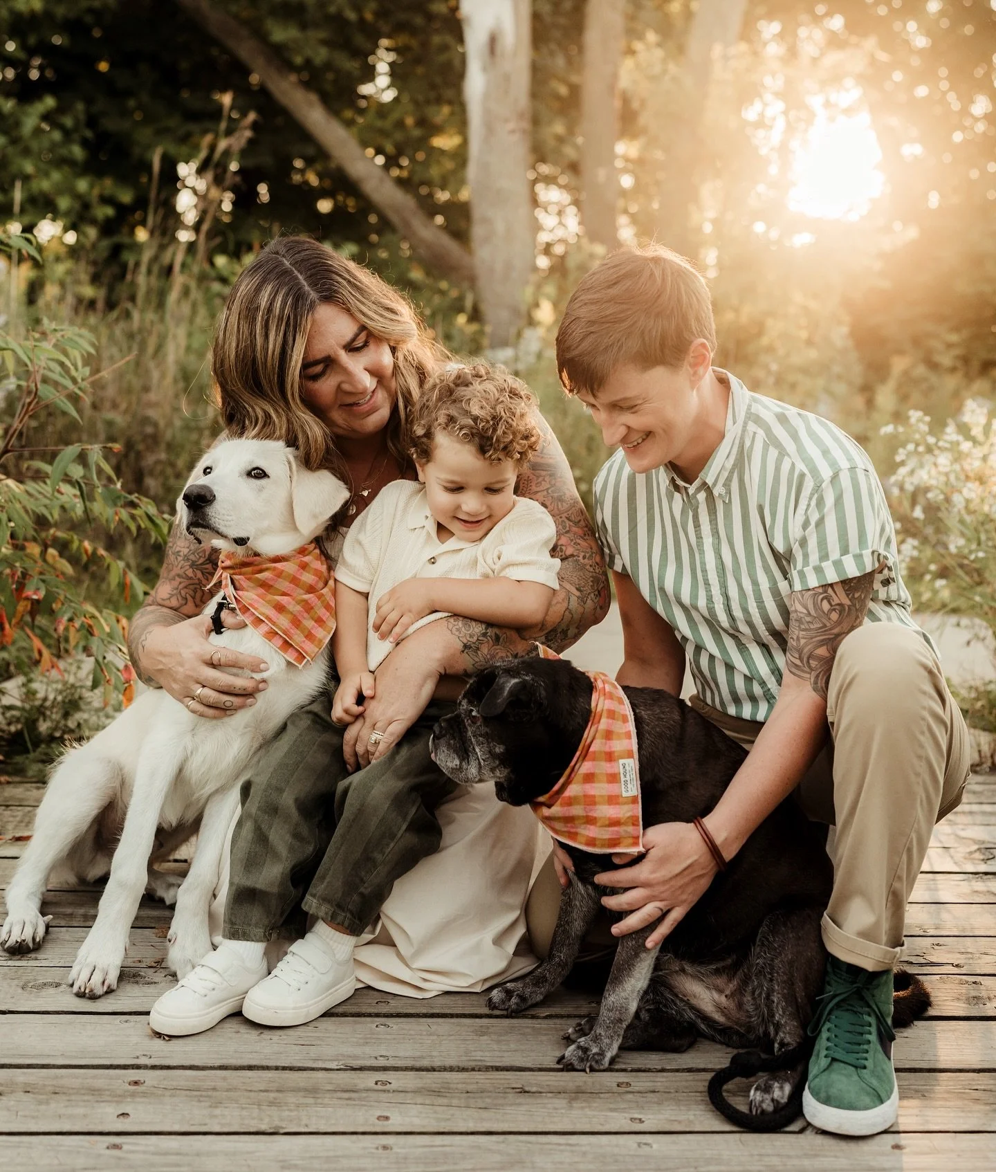 Joy is an act of resistance, joy is an act of healing. And we found so much joy when we looked into the eyes of a 6-month old pup named Frank. One of those undeniable moments that could only end with him in the backseat of the car, derpy ears and too