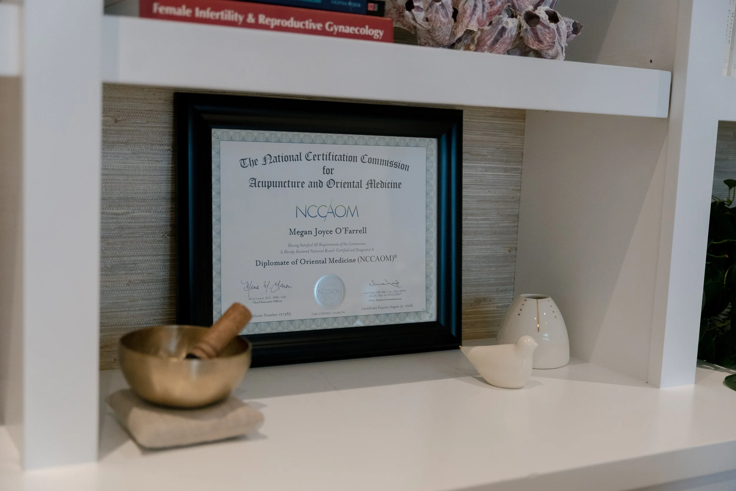 Photograph of a framed certificate for Megan Joyce, LAc acupuncture and oriental medicine on a white shelf, with decorative vases and a small bowl nearby.