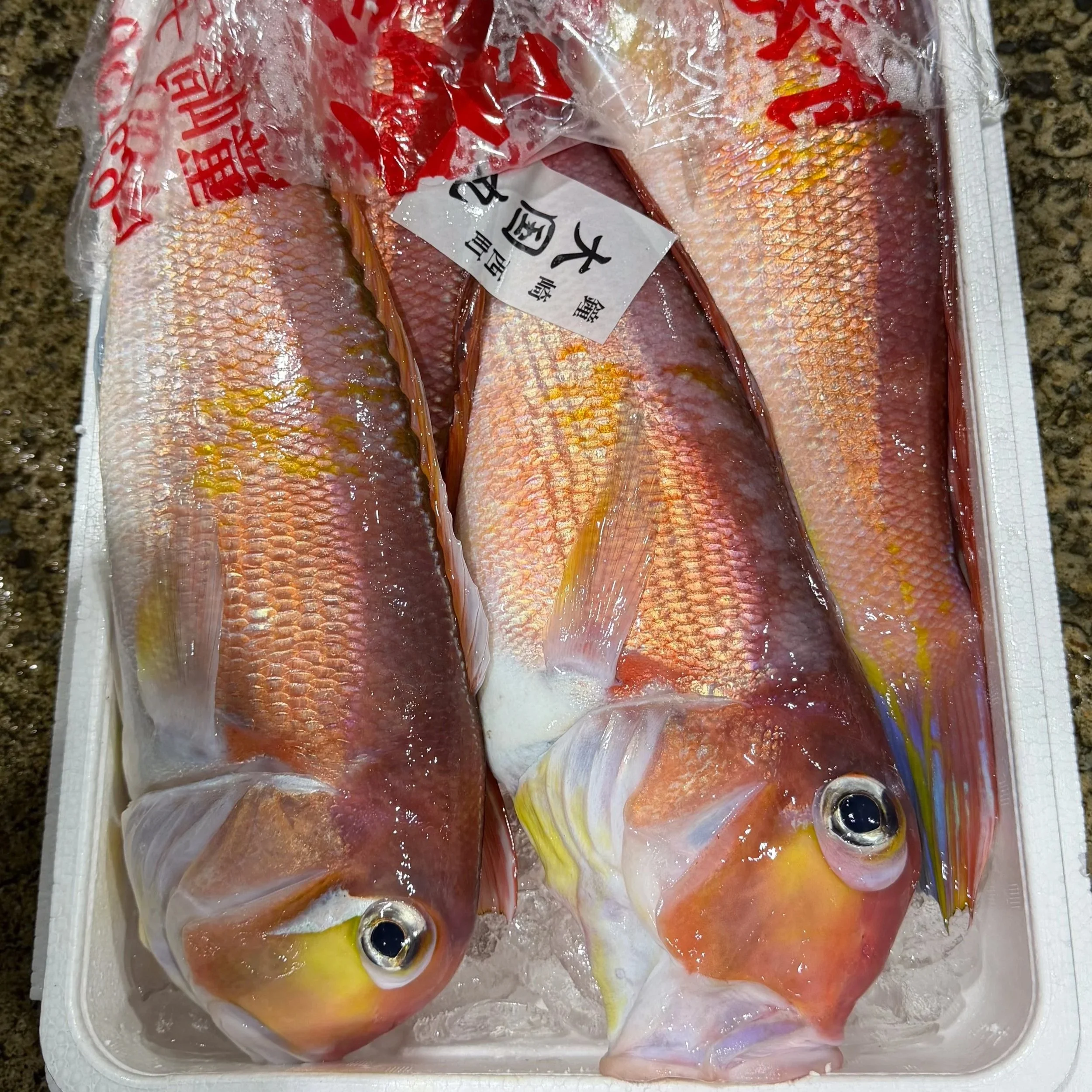 Amadai Sashimi