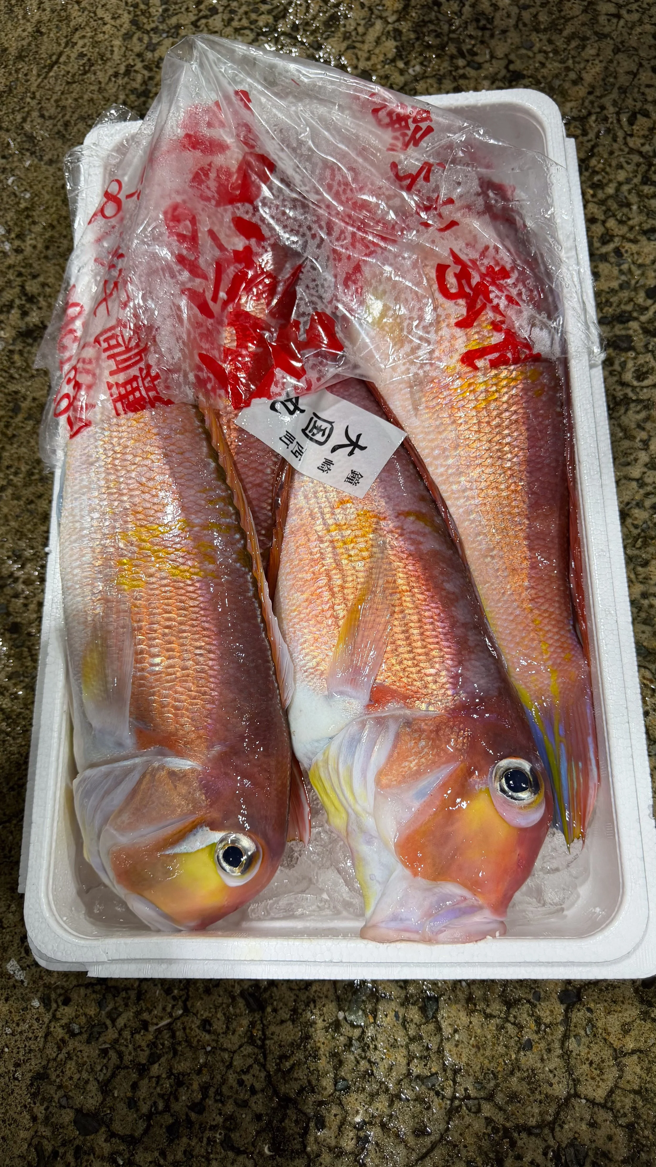 Fukuoka Uoichiba-3.jpg