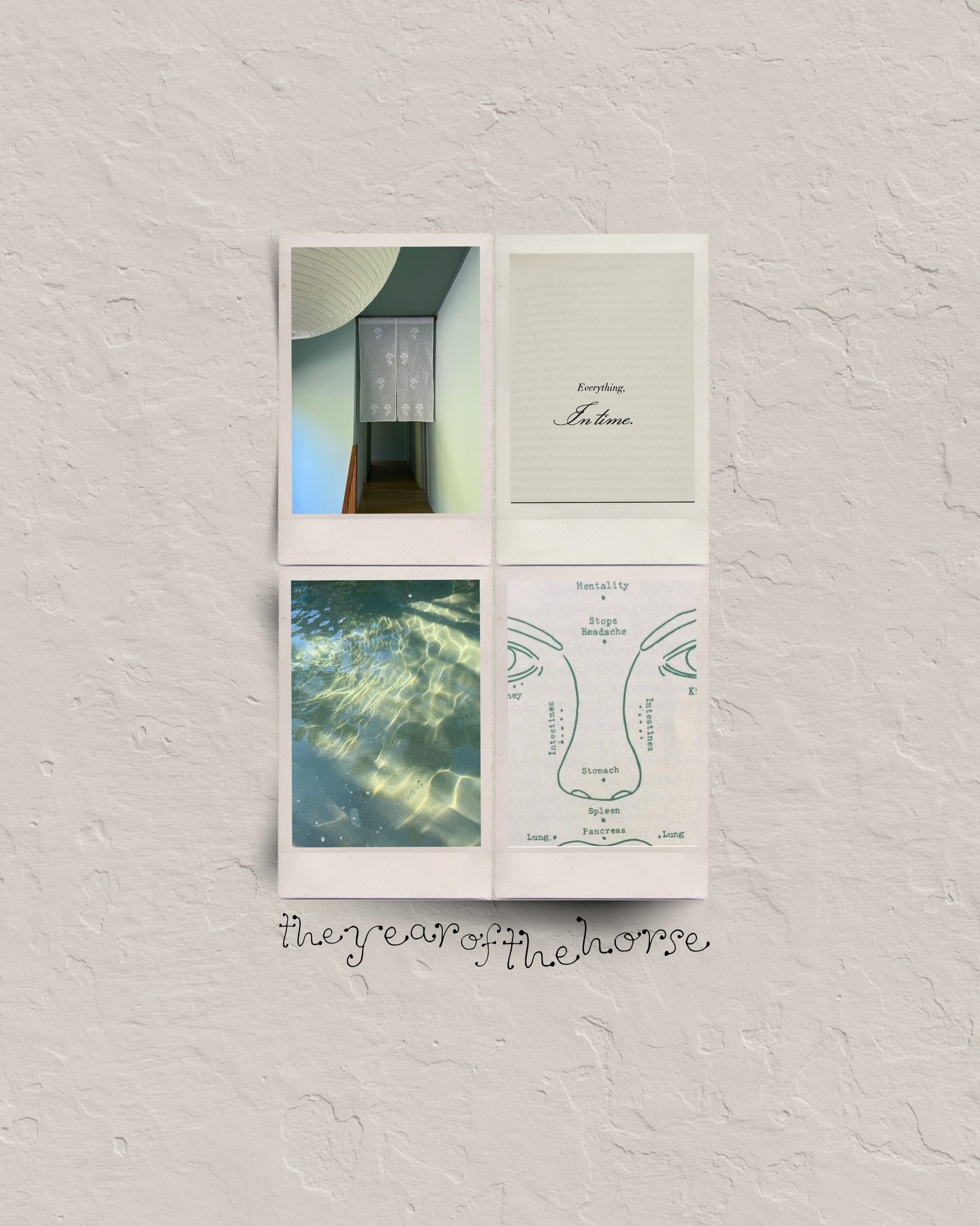 And it&rsquo;s happened, who else has been counting down the days?

We have moved into a new lunar year, the year of the horse 

Has anyone else felt the energy shift? There is an expansive and forward moving feel surrounding me like there is somethi