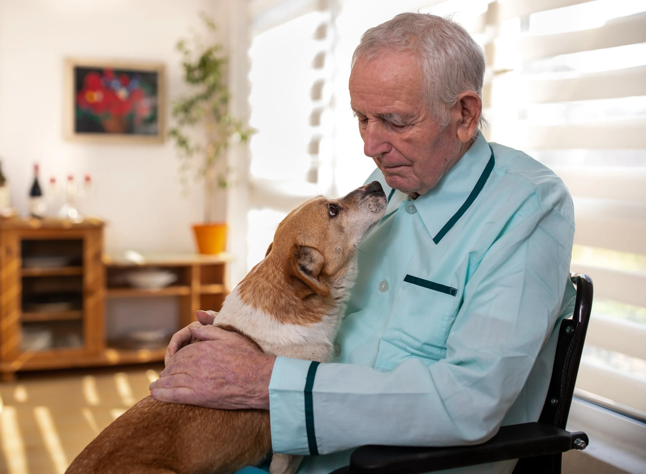 An elderly man holding a dog on his lap and looking into its eyes in a brightly lit room.
