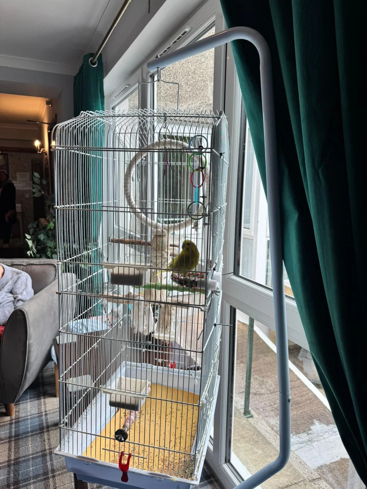 A multi-level birdcage with a yellow bird inside, placed near a large window with teal curtains. The cage contains toys and perches.