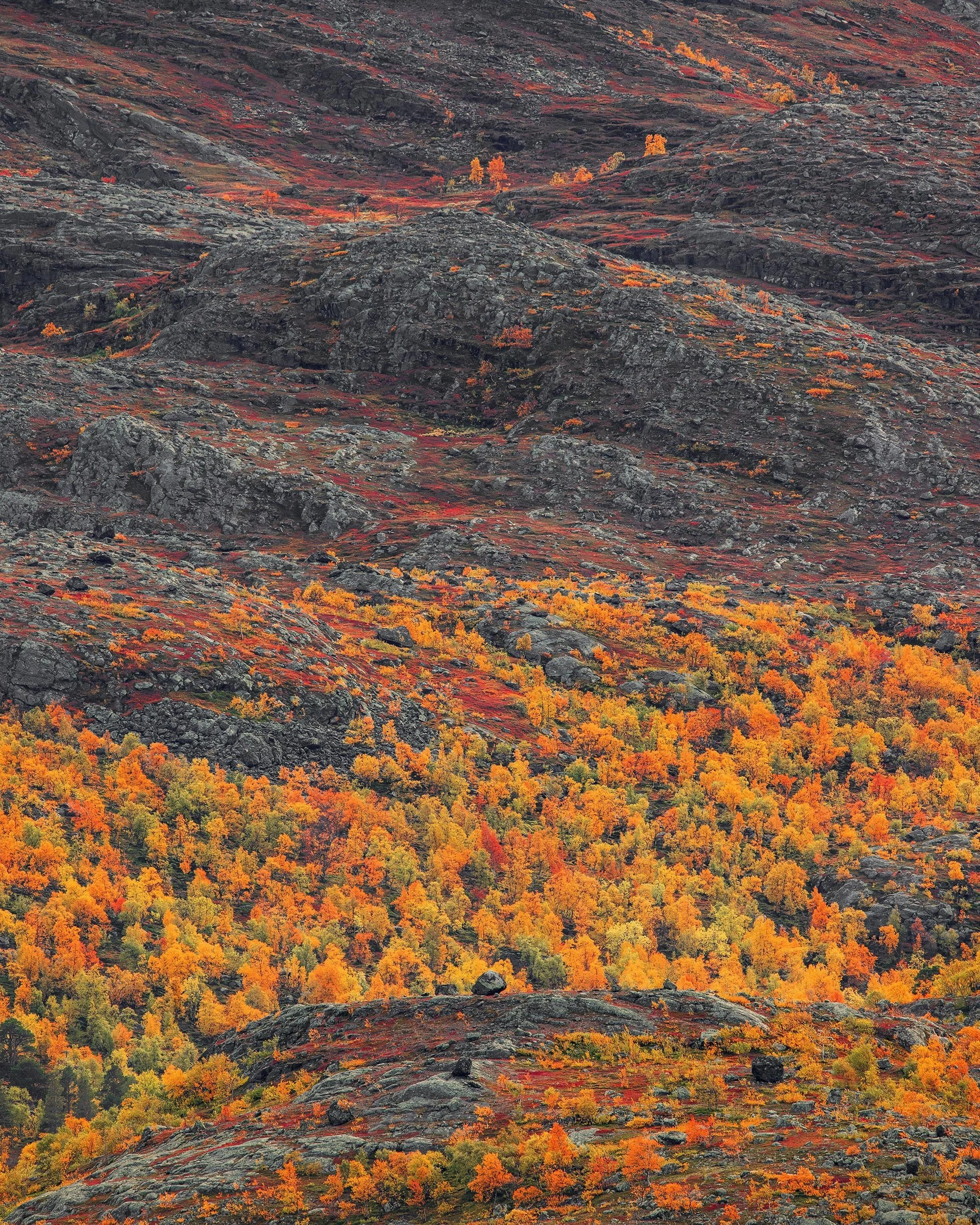 A09I9786-1 copy 3.jpg