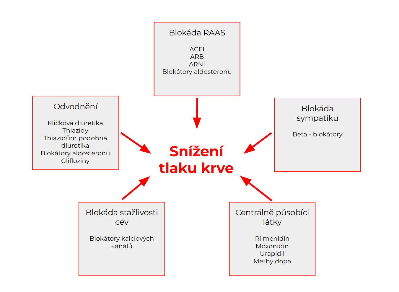 Schematické znázornění hlavních skupin antihypertenziv dle mechanismu účinku