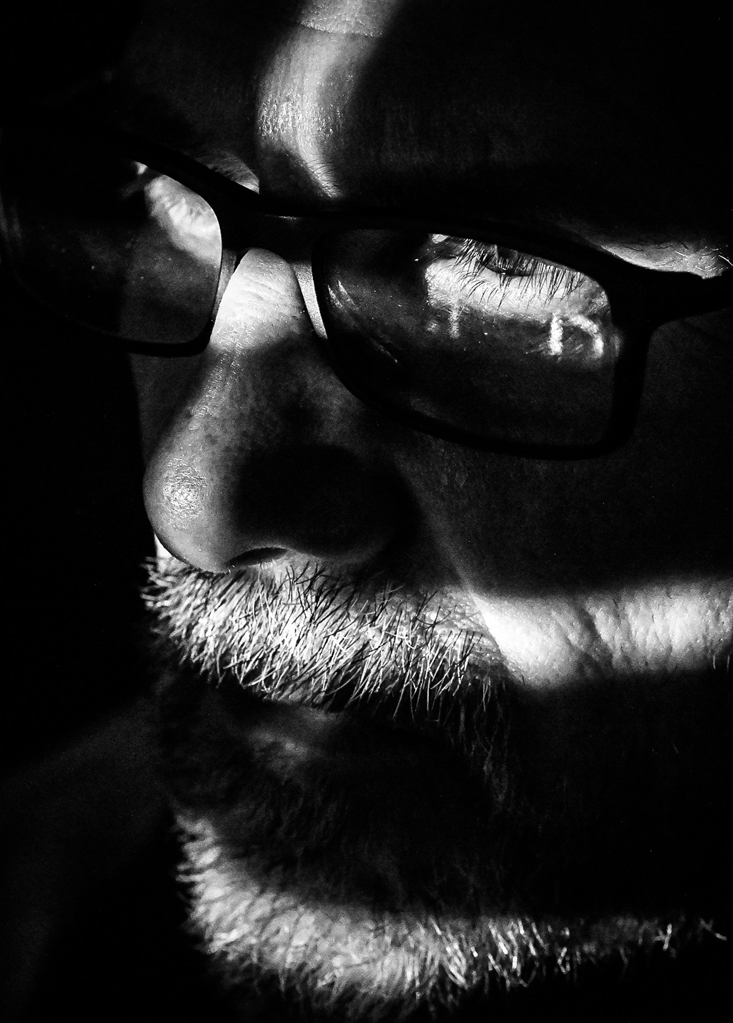 light-dark-4.jpg