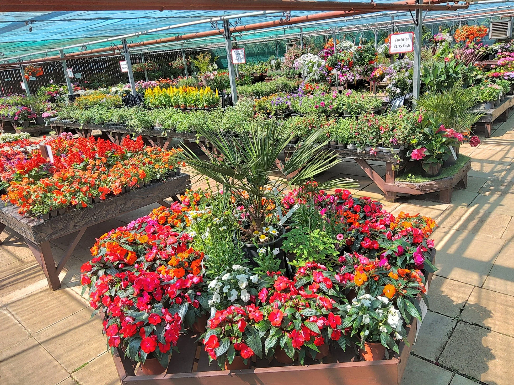 Hillside Farm Nursery & Garden Centre