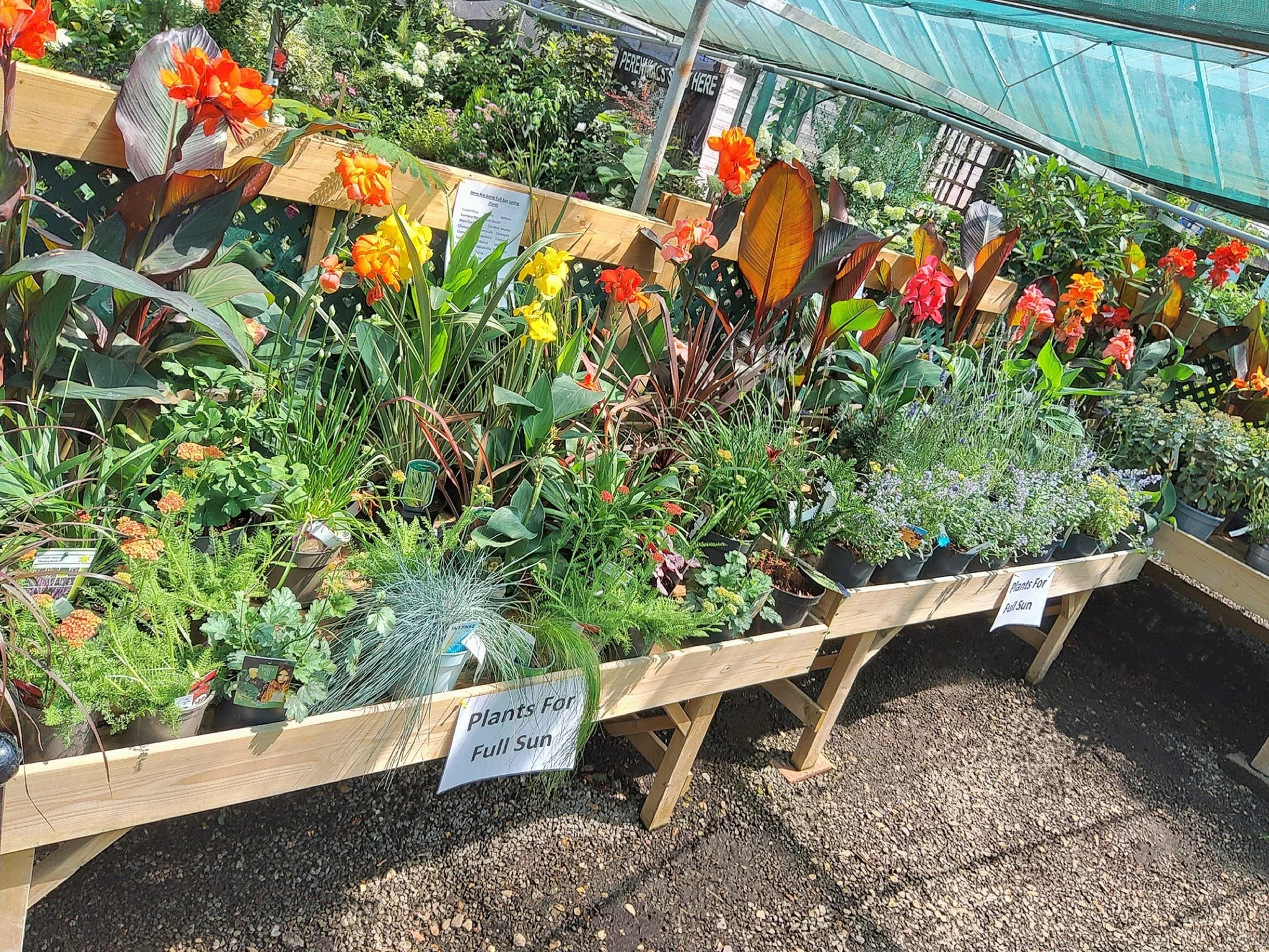 🌿🌼🌺 Customer Notice 🌺🌼🌿 

Here at Hillside we are always trying to improve our garden centre, to help give our customers the best shopping experience with ease!

We have now designed our shop to help those new to gardening, by creating sections