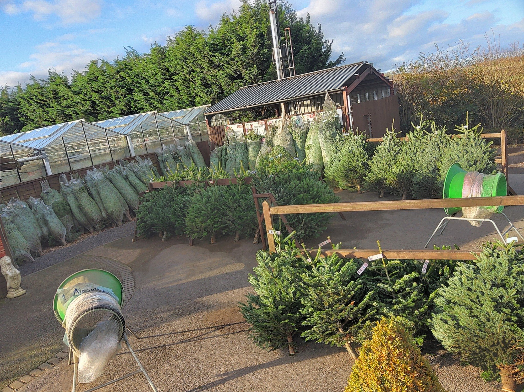 🎄 Our Christmas Trees Have Arrived! 🎄

Bring the magic of Christmas home with our beautiful premium Nordman Non-Drop Trees &mdash; fresh, full, and ready to decorate! ✨

Why not pop down to our garden centre and choose the perfect tree for your fes