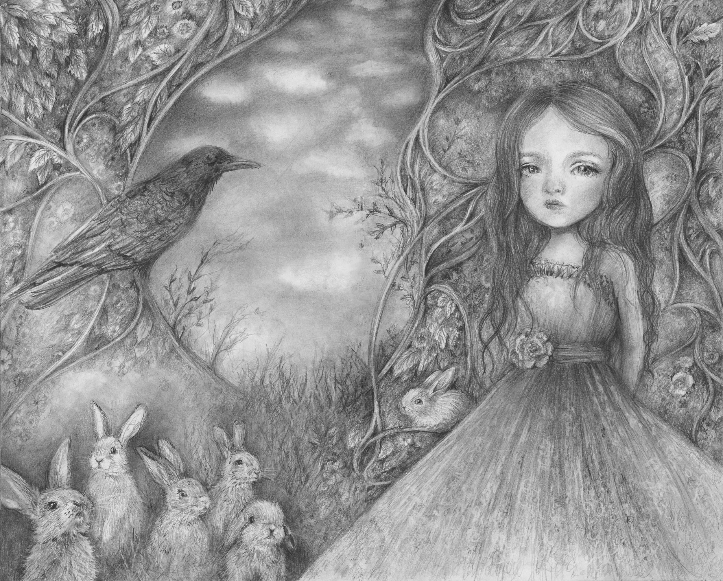 Illustrations