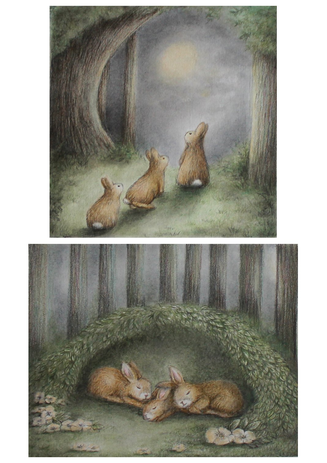 Image 2, Resting.jpg