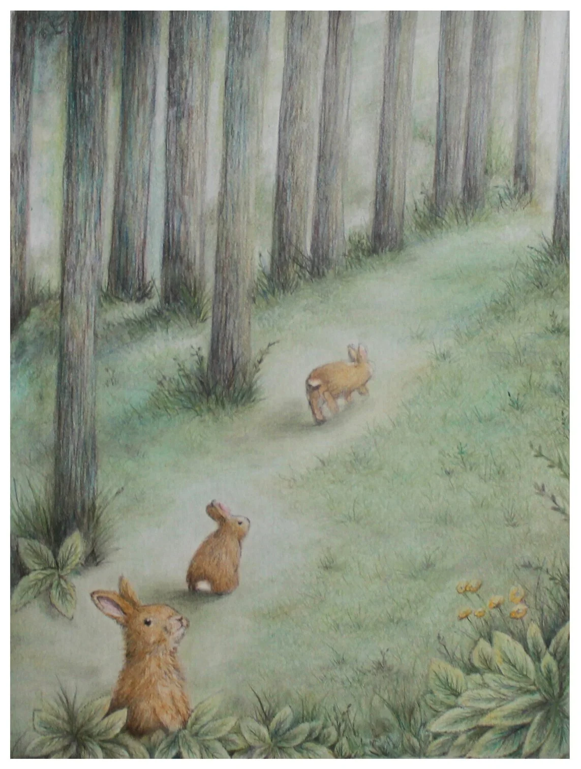 Image 1, The Journey.jpg