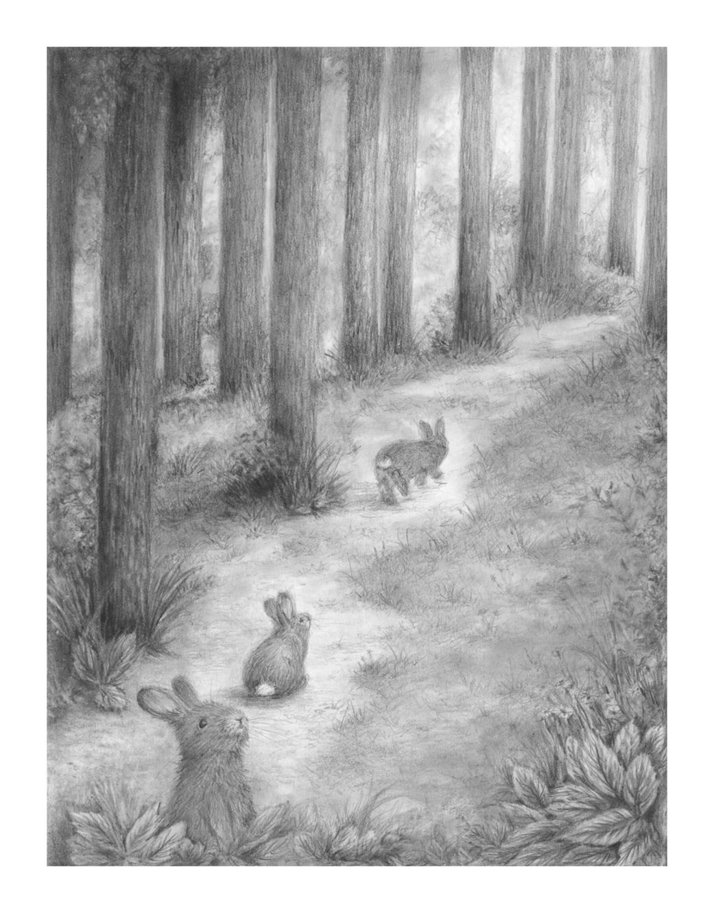 mandyhamson_TheMermaidsandtheBunnies_image3.png