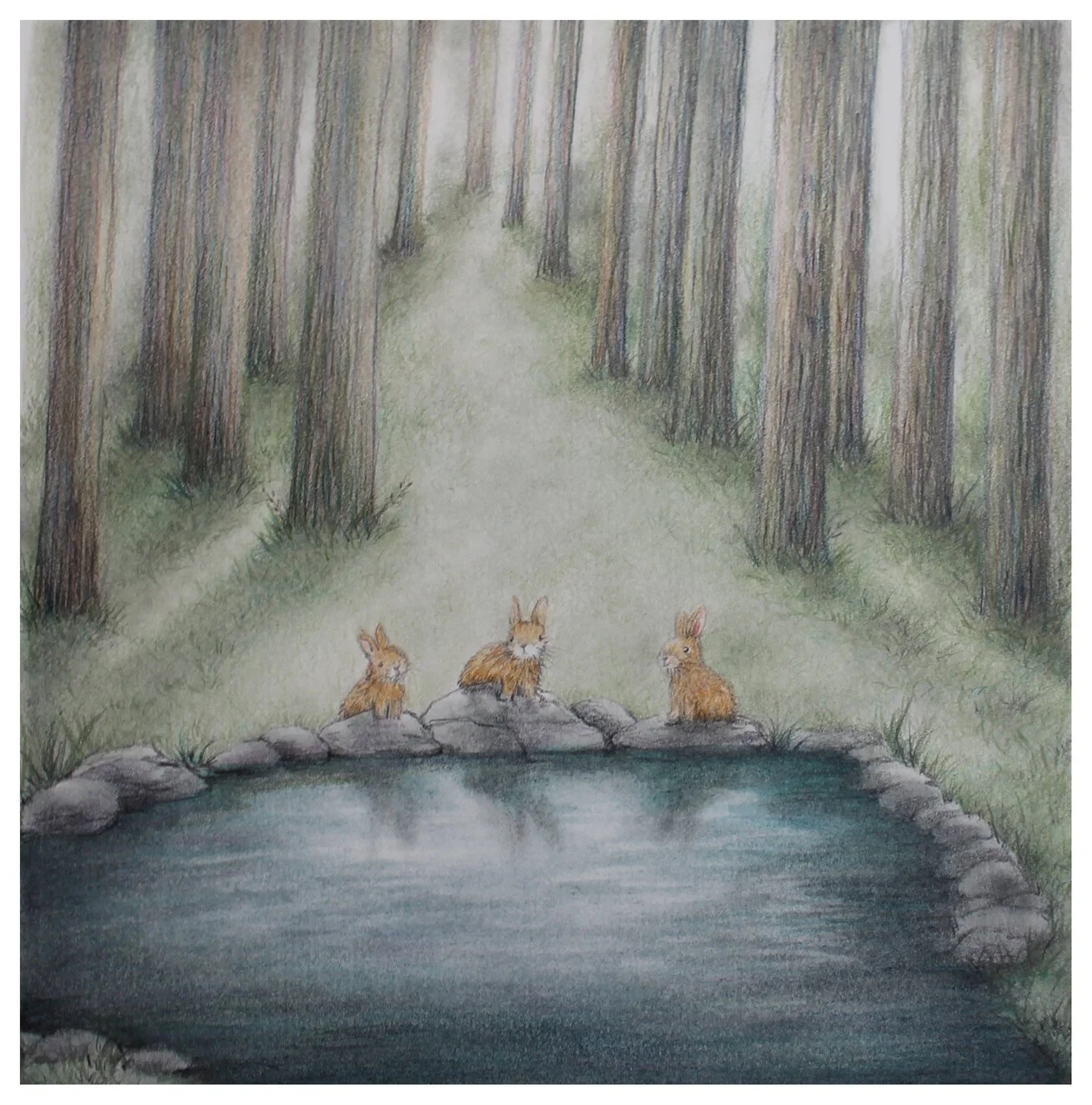 image 3, Reflection.jpg