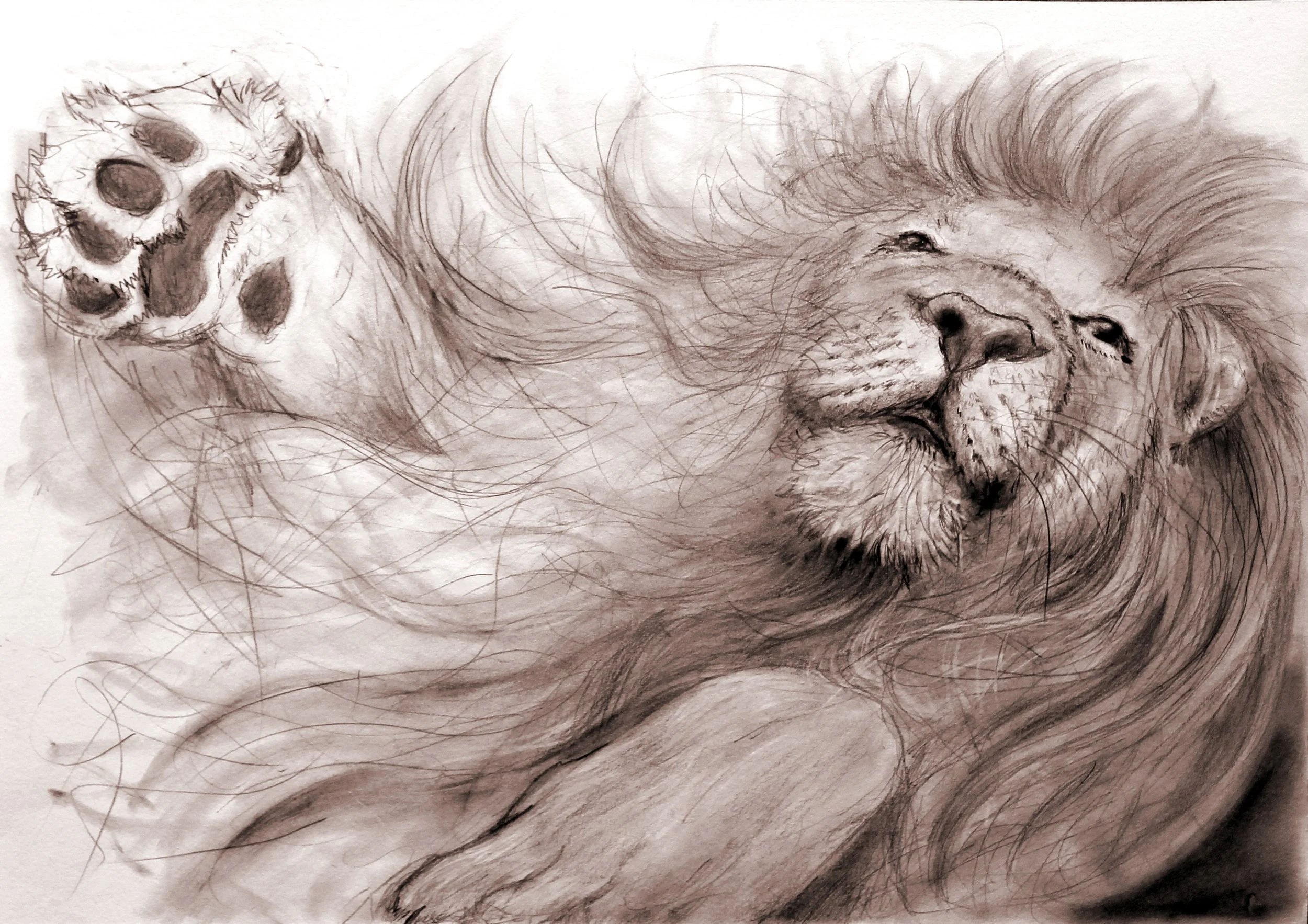 new lion and dancer 13_edited-1.jpg
