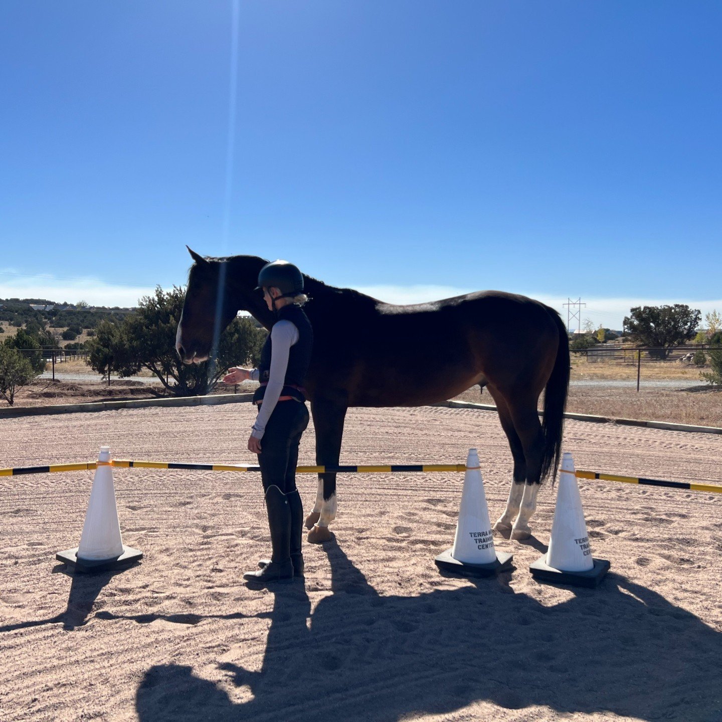 Dhyana and Westley doing some reverse round pen training! 🙌

This setup is great for Positive Reinforcement training (R+) as it gives the horse freedom to choose if they want to participate or not! From an R+ approach, this provides us with a lot of