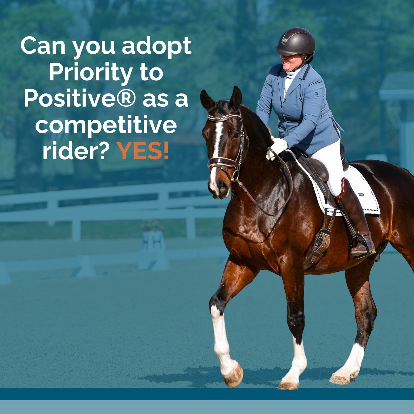 Thinking you might not be able to adapt Priority to Positive&reg; as a competitive rider? Think again!

Positive reinforcement has been proven to be a successful training method. Adaptable for all disciplines at all levels, positive reinforcement can