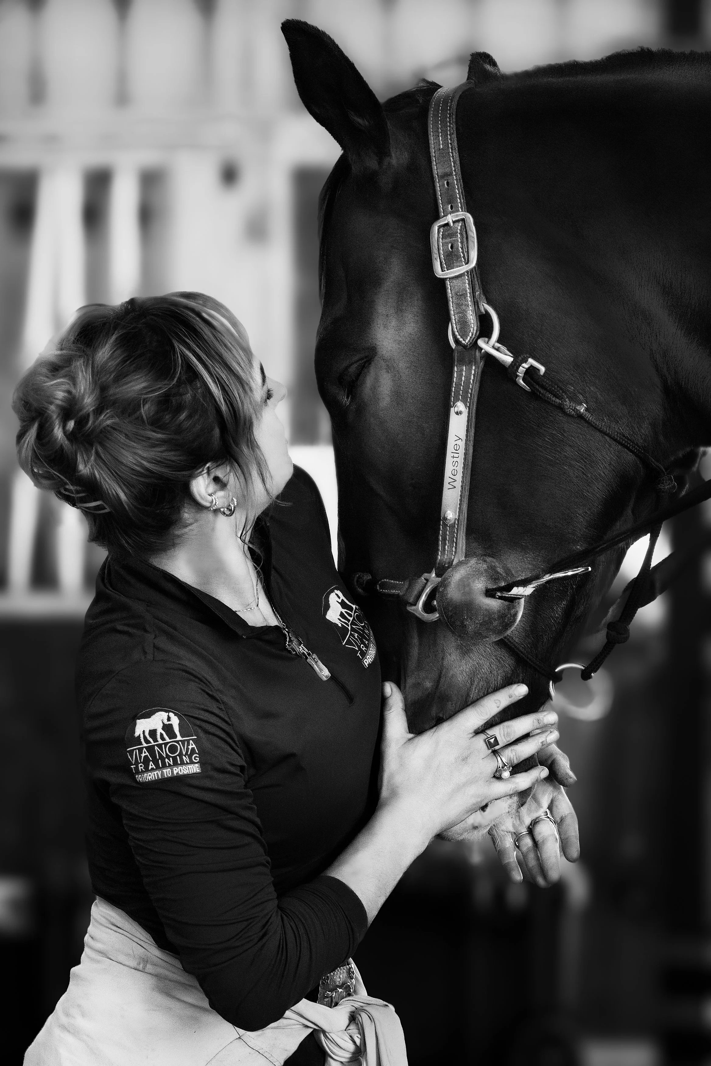 Certified Horsemanship Association