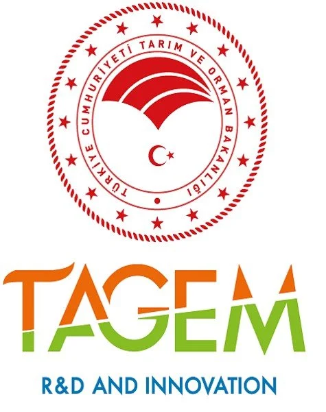 66 Tagem.jpg