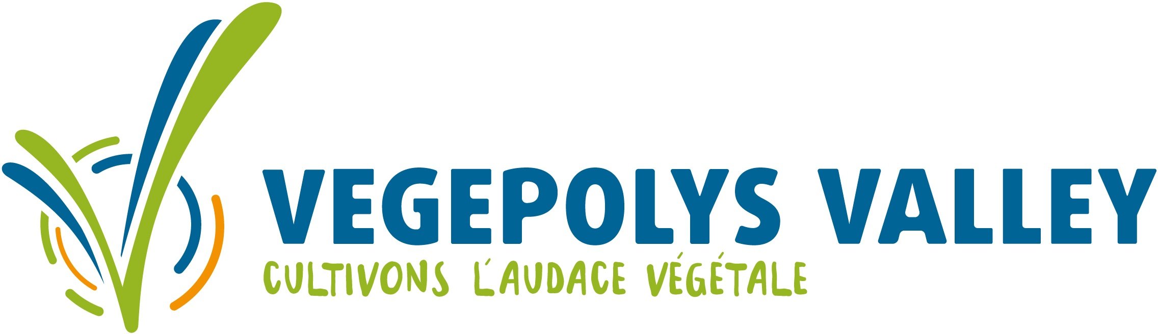 26 vegepolys_crop.jpg