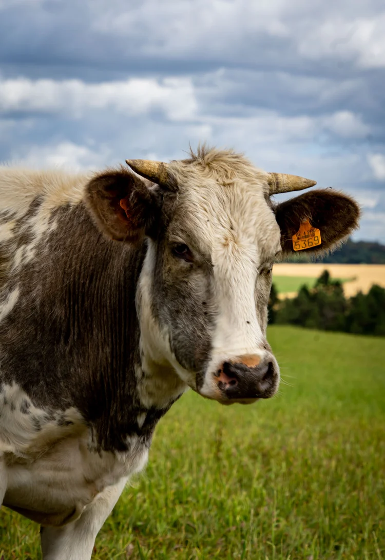 Agroecology Partnership