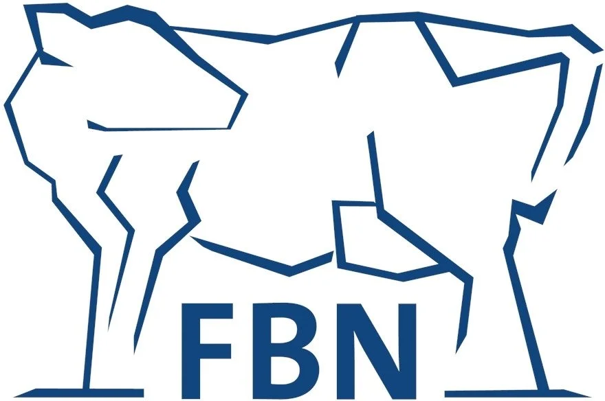 31 FBN_crop.jpg