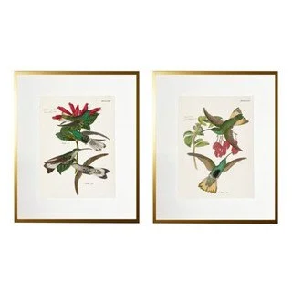 Humming Bird Prints Collection 1, Set of 2
