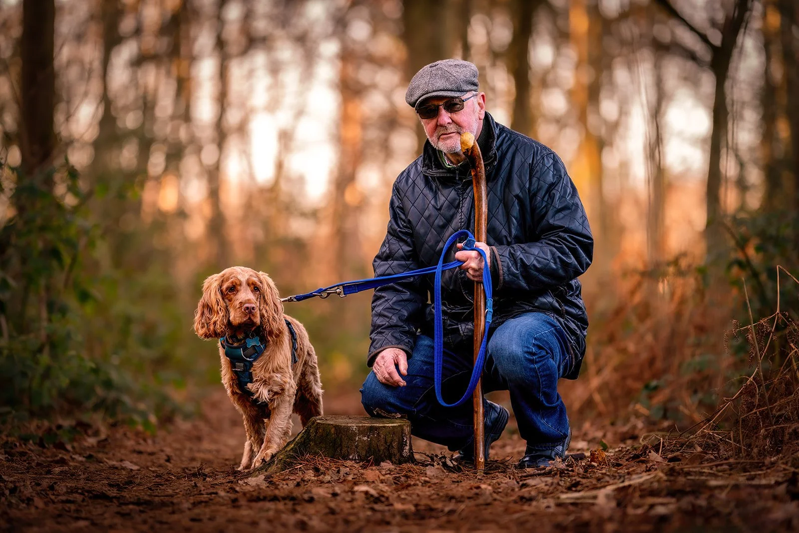 petebirdphotographyframing doncaster, pets and portraits doncaster family and pet photographer South Yorkshire, autumnal pet photoshoot