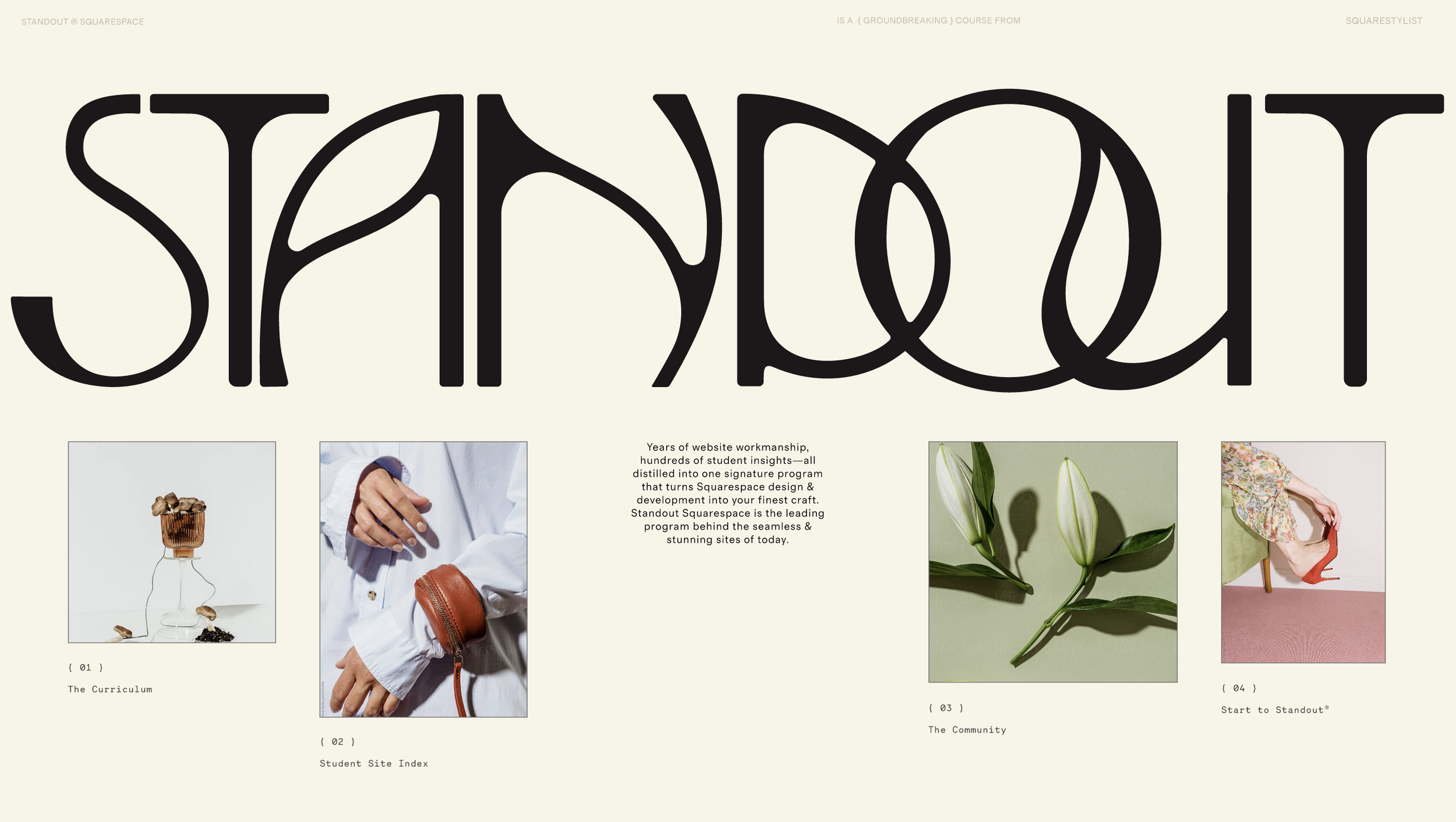 Formation Standout Squarespace de Rachel de Luna