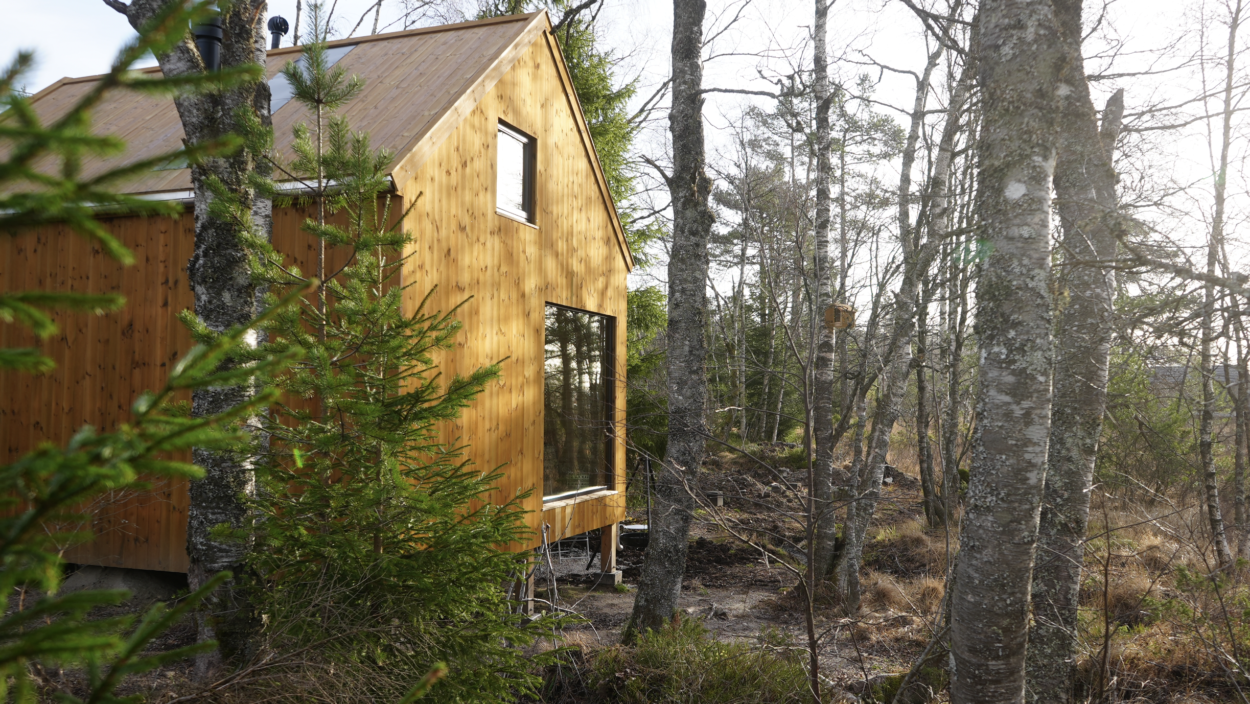 Et moderne trehus med store vinduer ligger blant trær i en skoglignende setting på en dag med overskyet eller delvis overskyet vær.