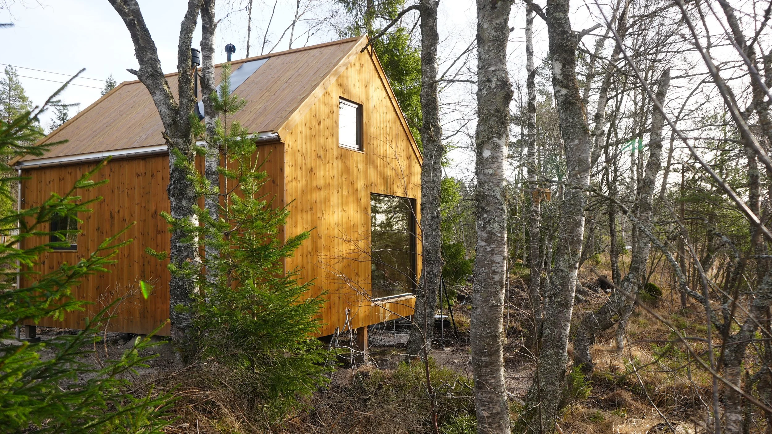En liten trehytte i en skog, omgitt av trær og busker med knudrete bark og grønne blader.