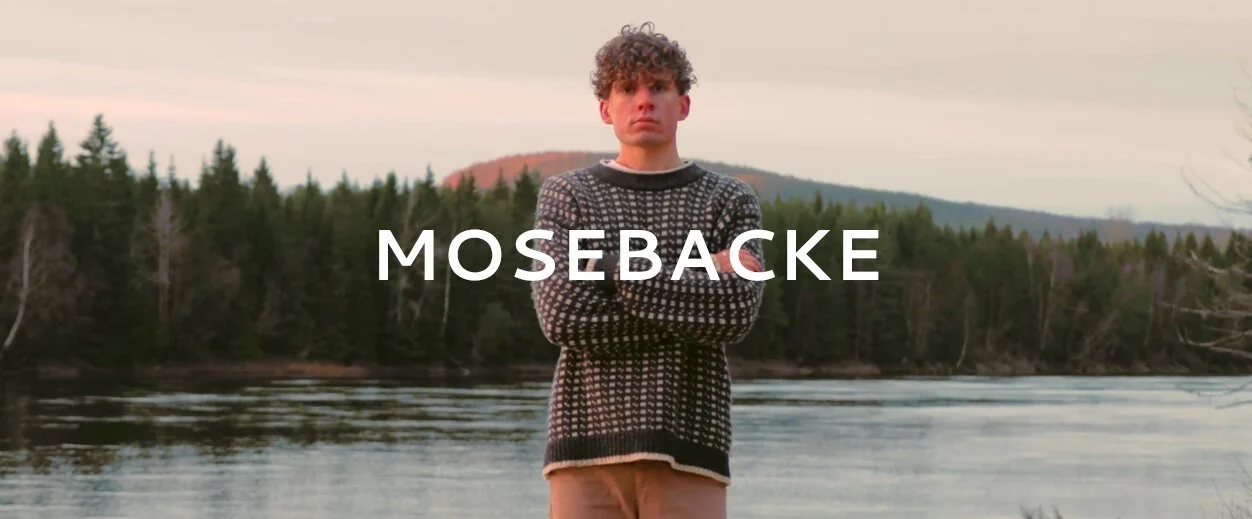 Mosebacke (Copy)