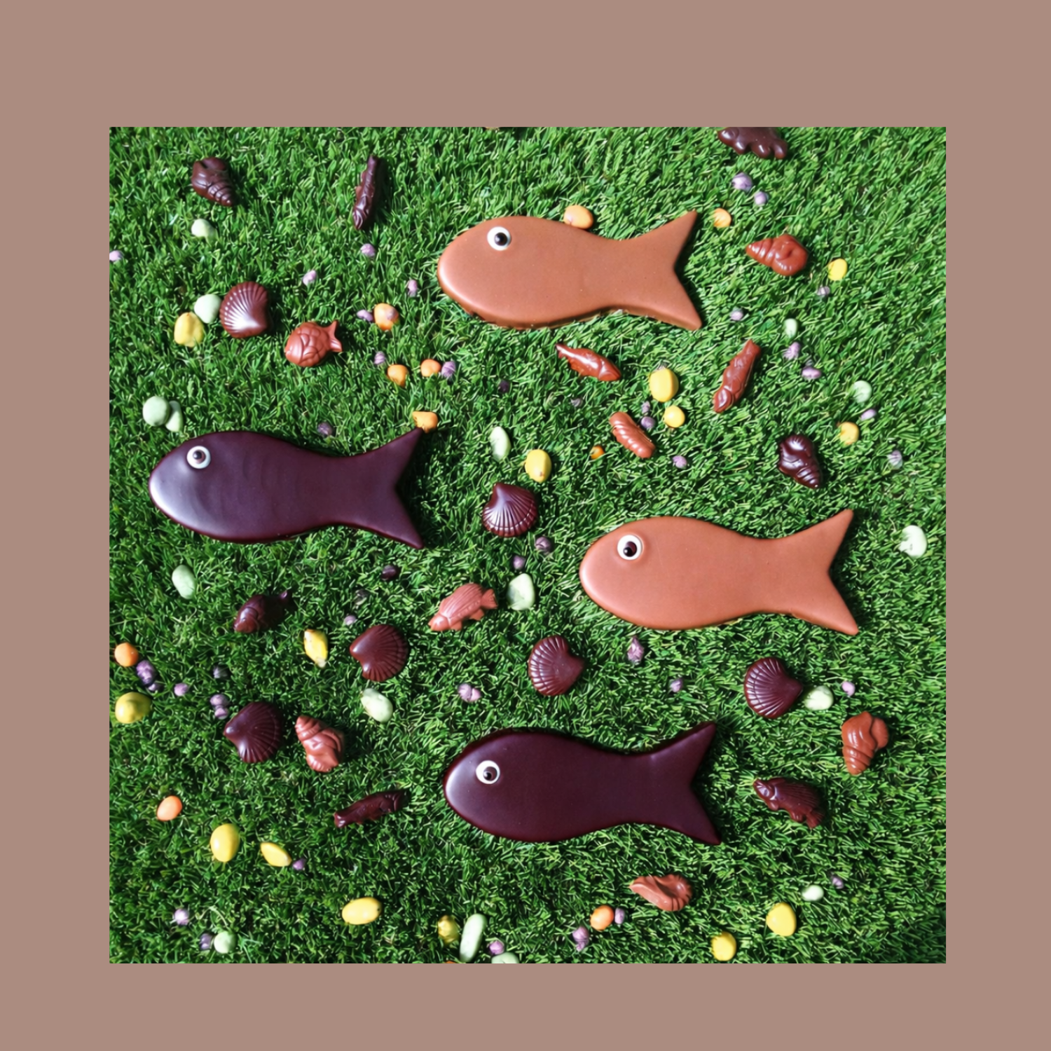 Poisson praliné 120gr