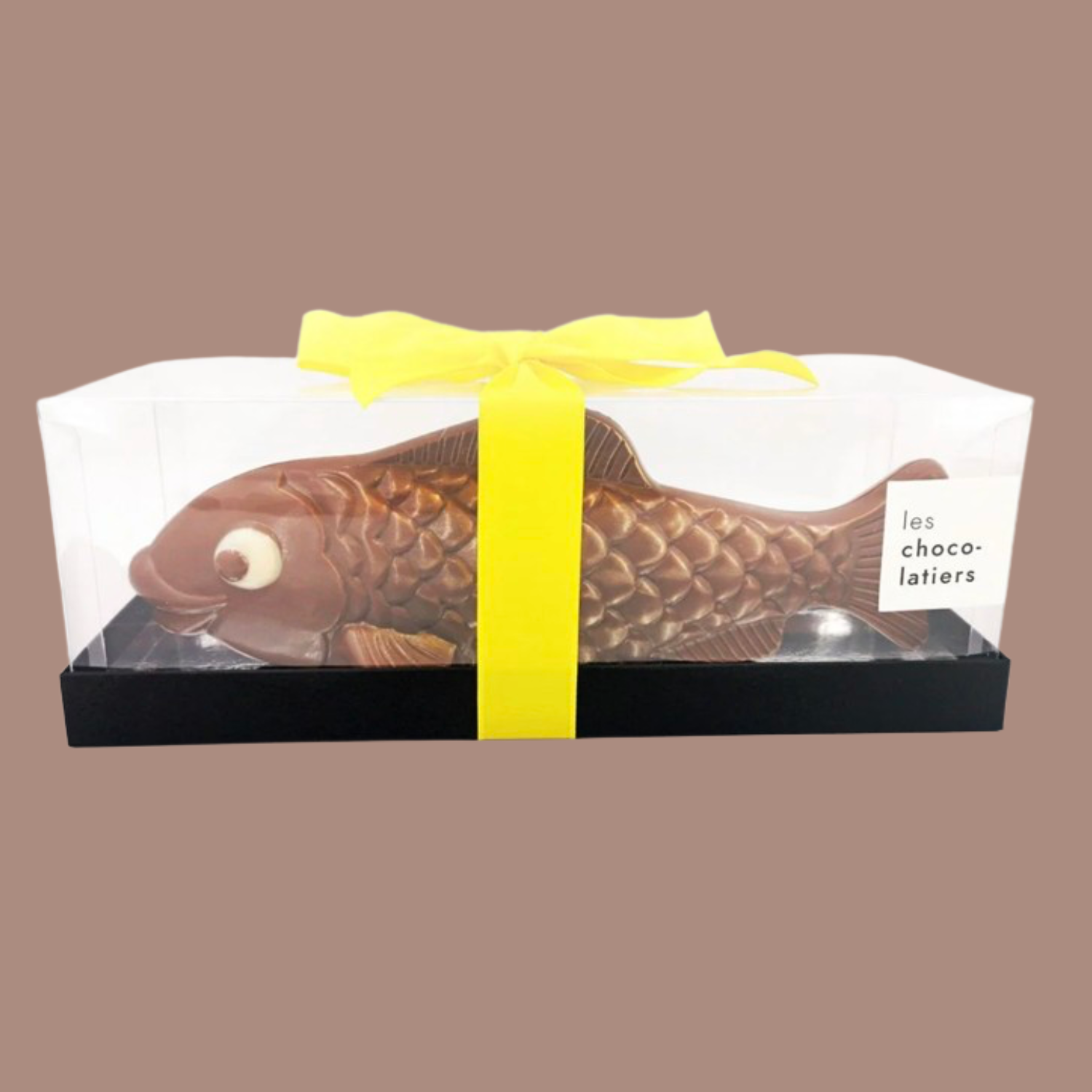 Grand poisson noir ou lait 3.png