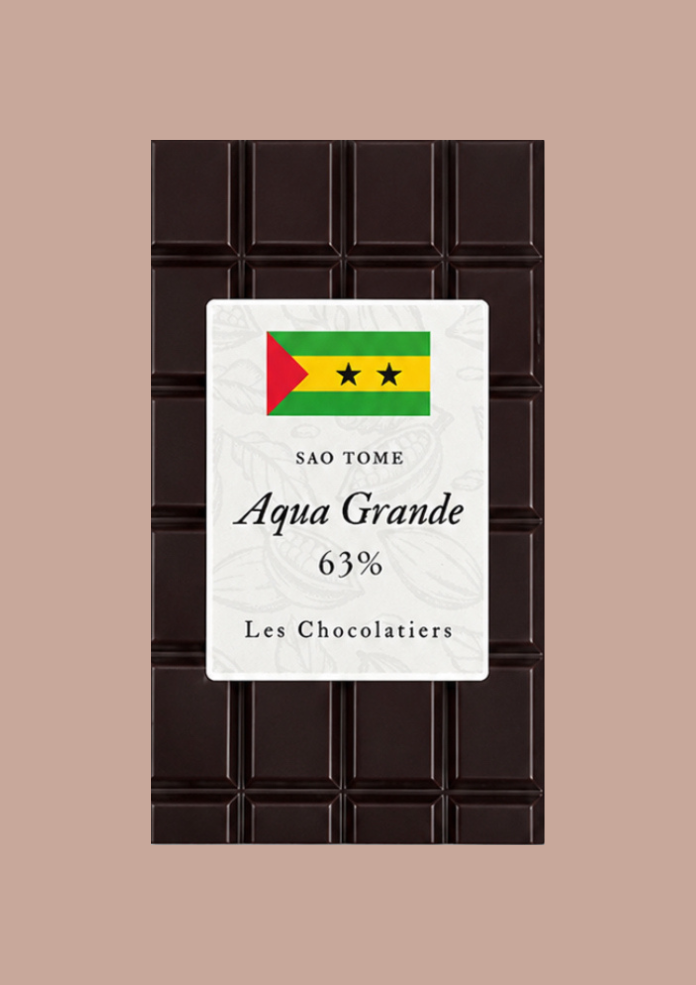 Design sans titre copy.png