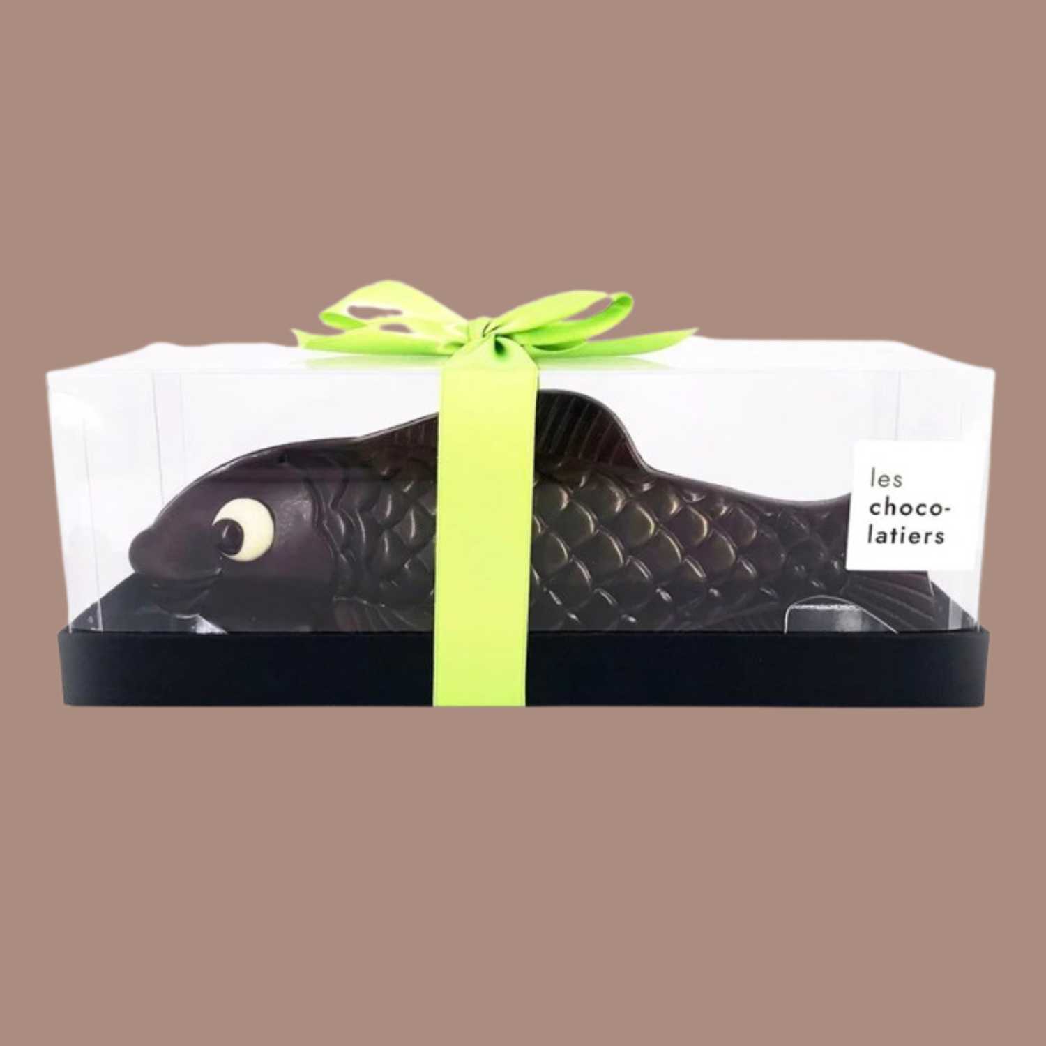 Grand poisson noir ou lait 4.png