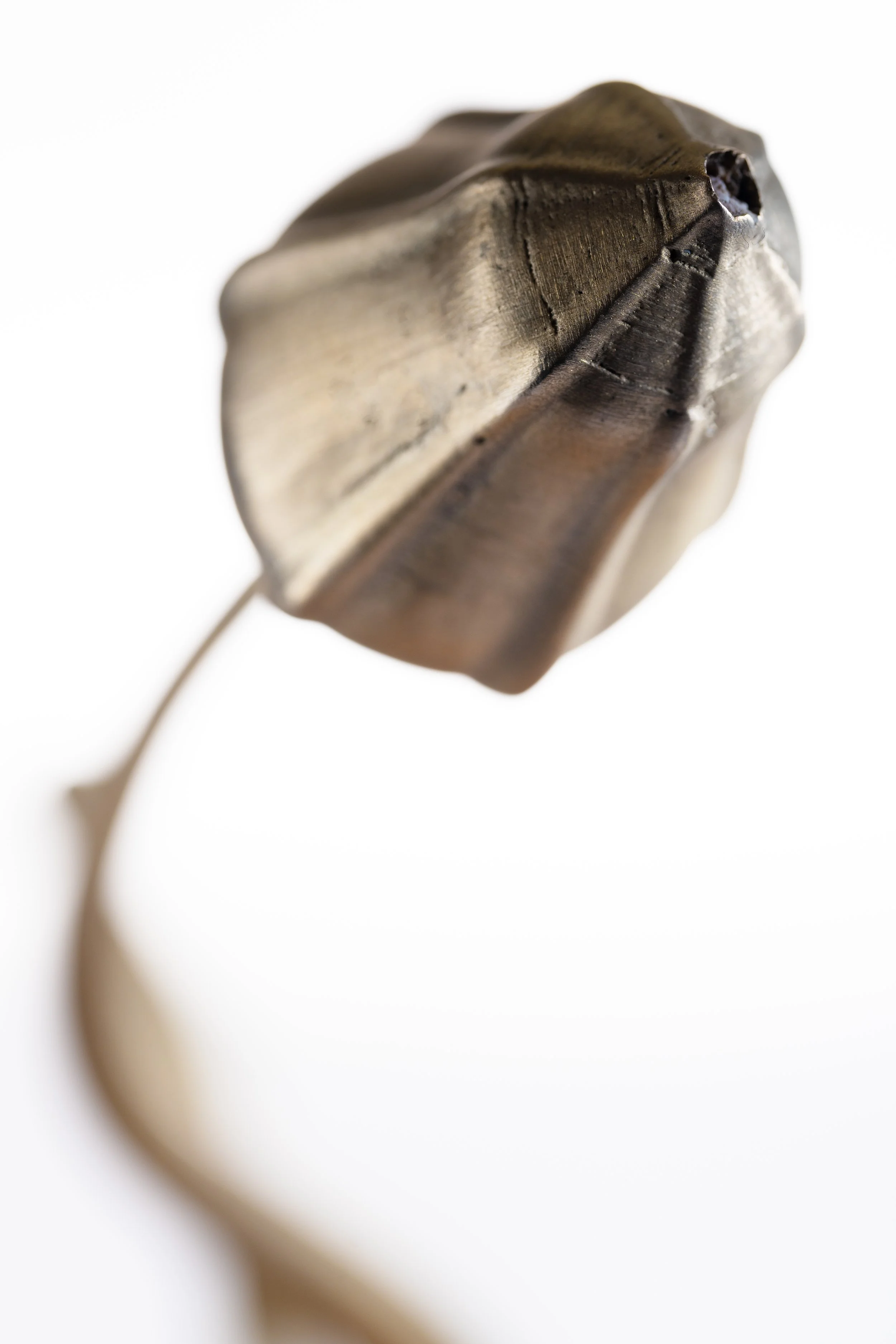 Close-up image of a wooden clothespin with a metal spring, on a white background.