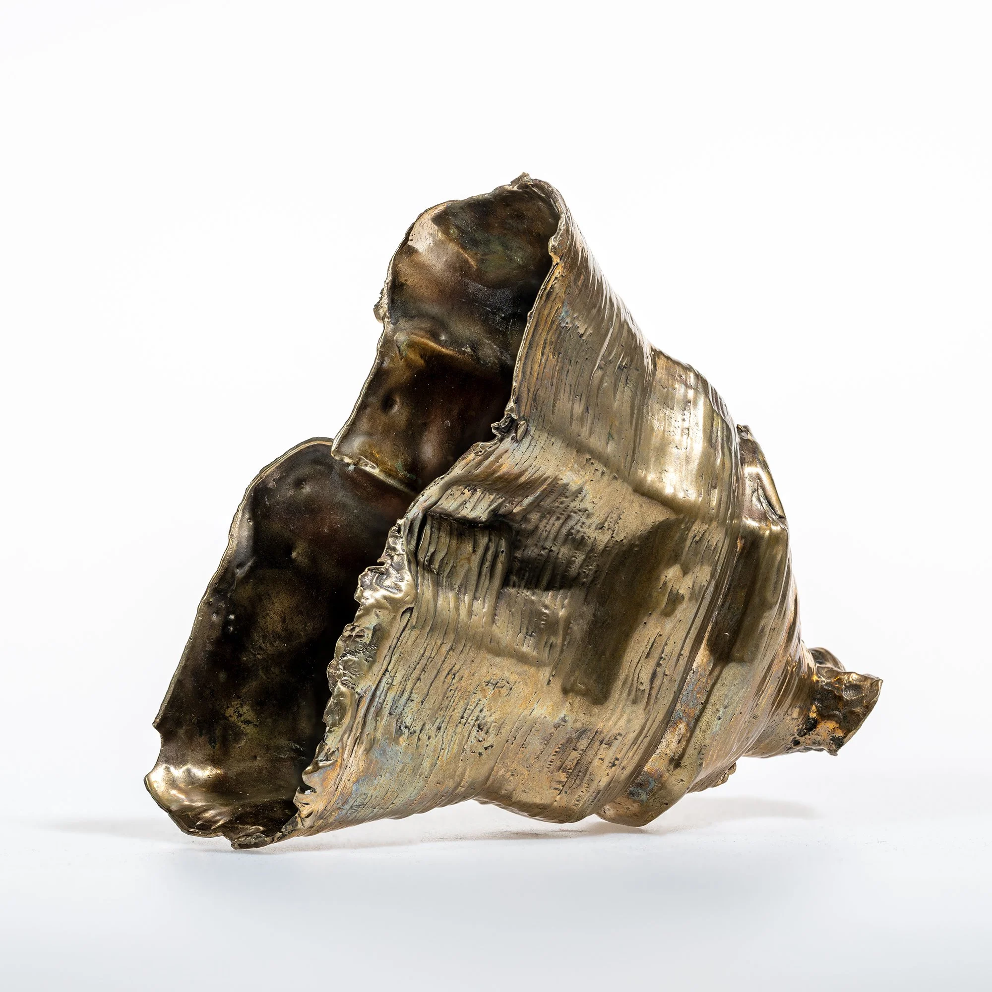 A close-up of a metallic conch shell with a shiny, reflective surface, isolated against a white background.