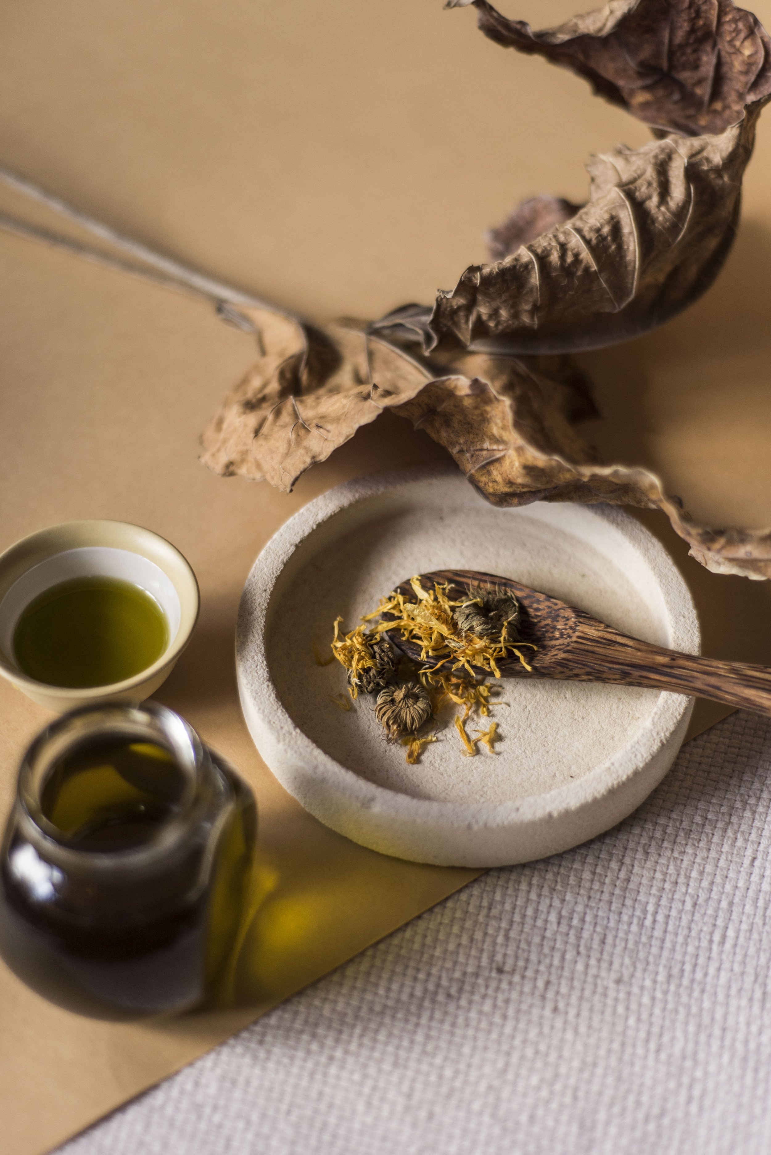 Global Herbal Apprenticeship