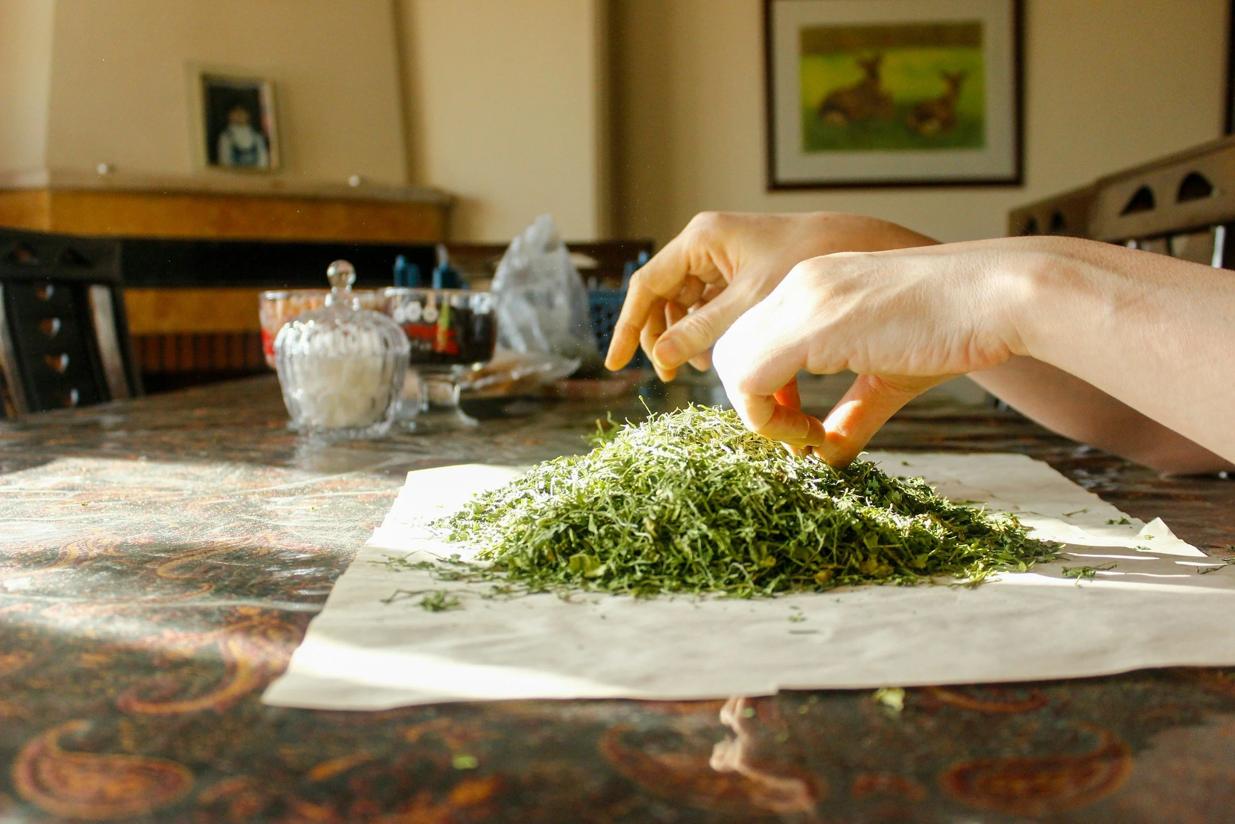Hands preparing herbs on a table with various jars and bottles in the background.
