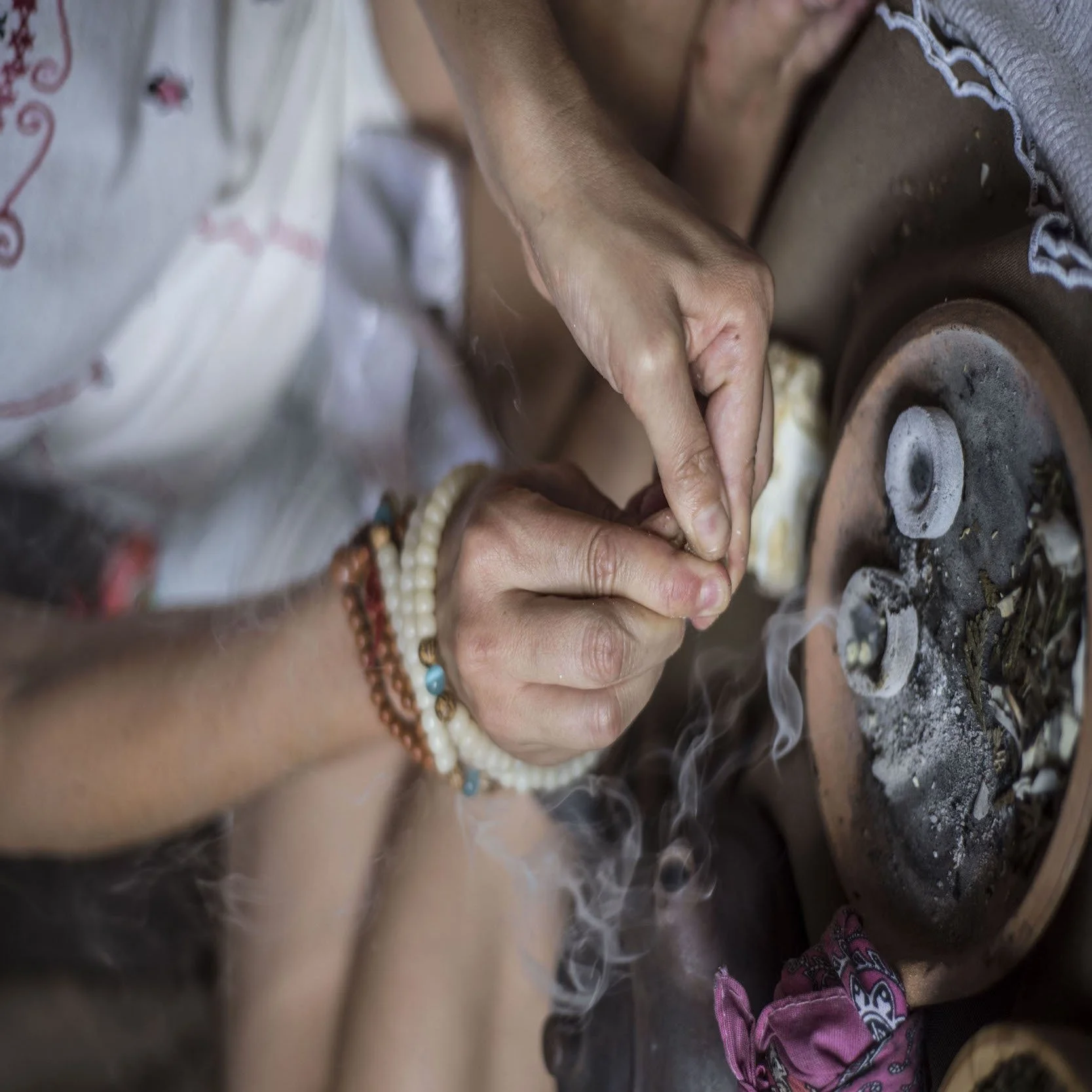 Global Herbal Apprenticeship