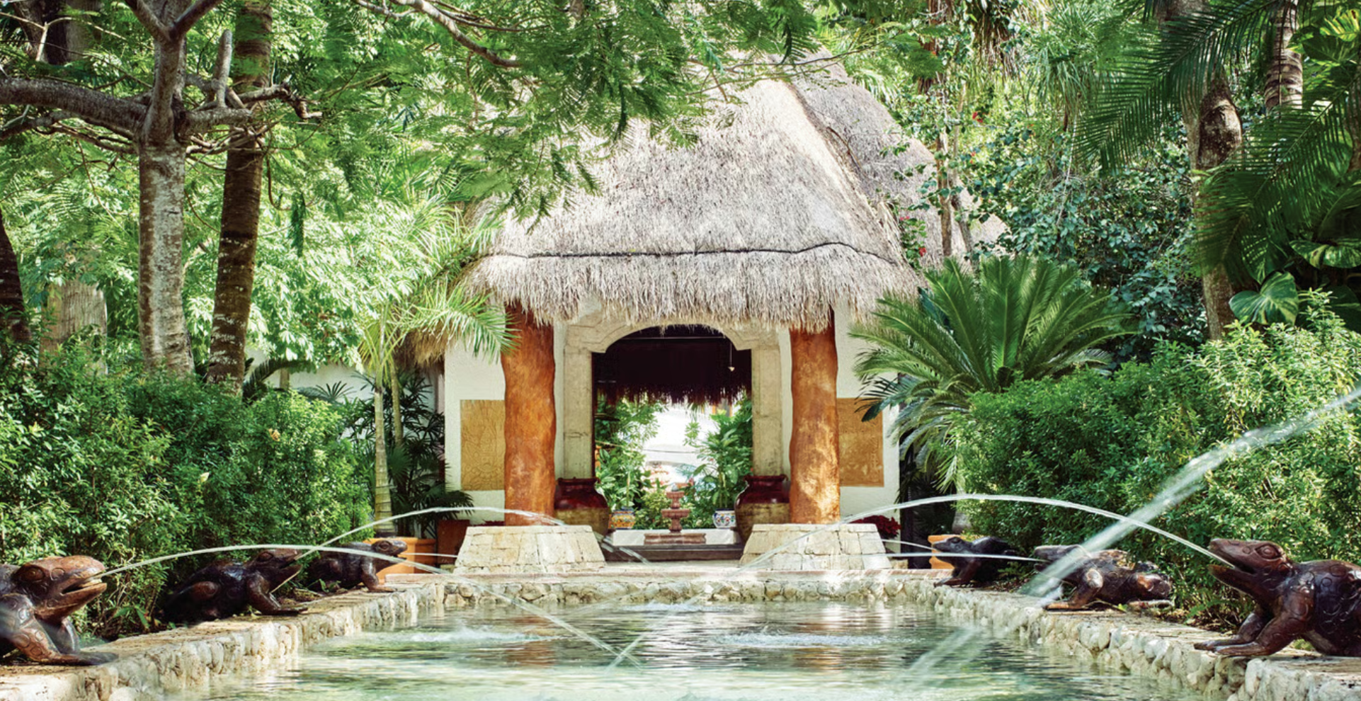 Tropical garden full relaxation wellness garden. Longevity and wellness design