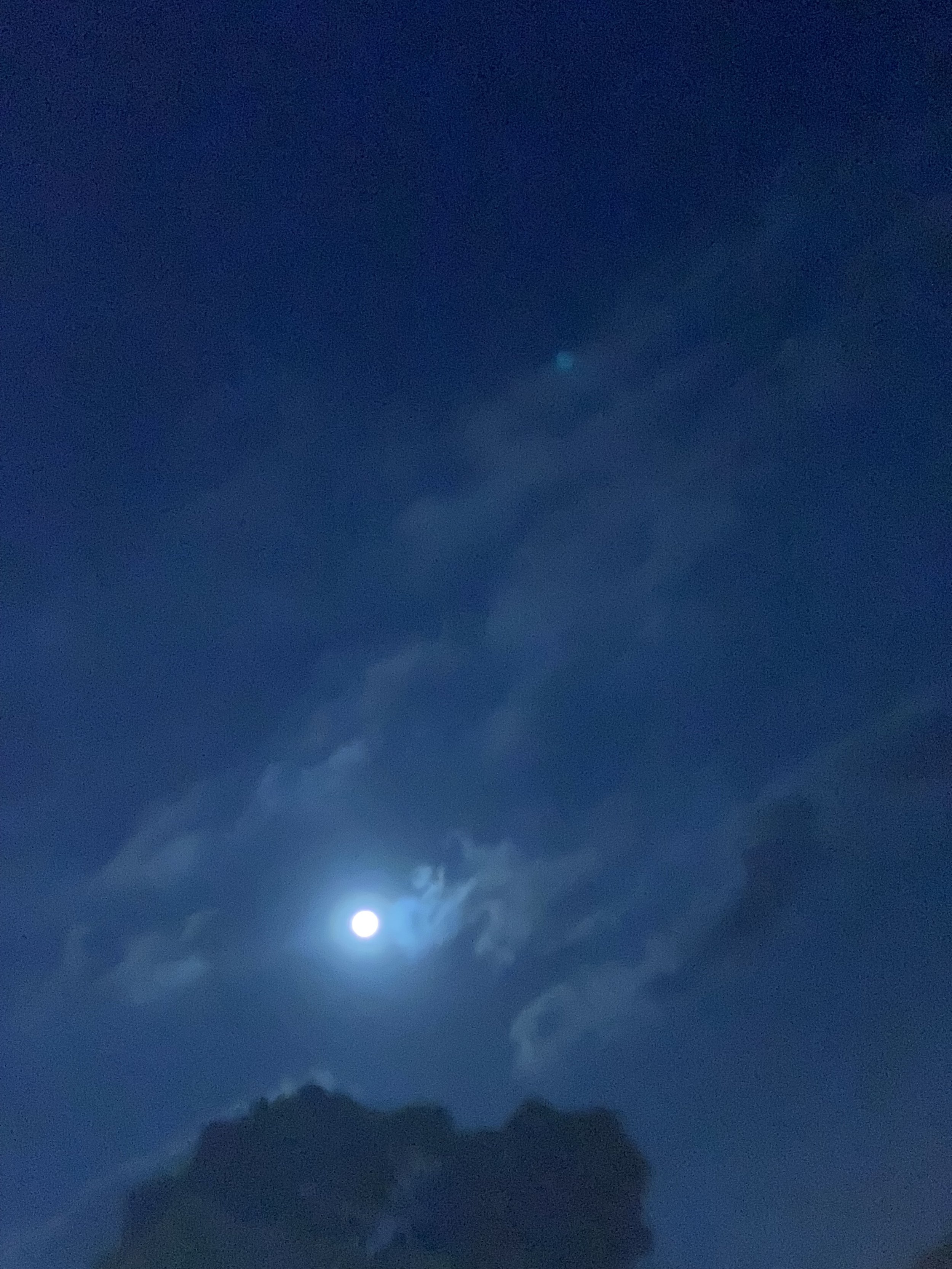 IMG_2648.jpeg