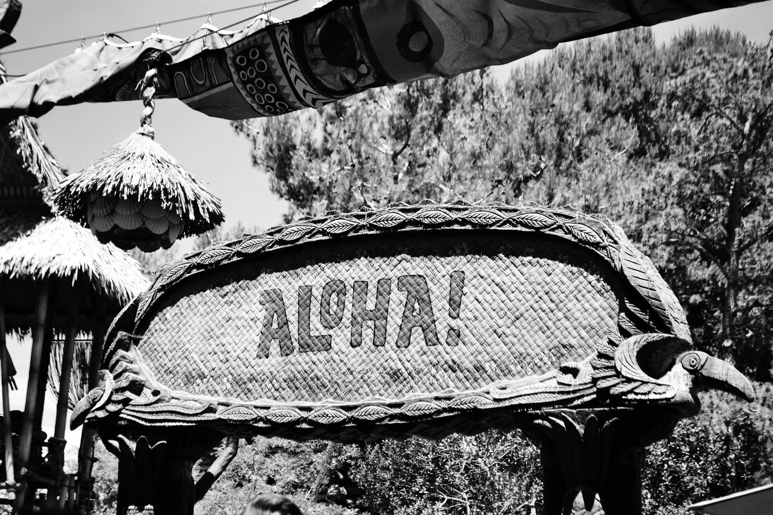 Reward with Aloha: Building Effective Loyalty Programs in Hawaii