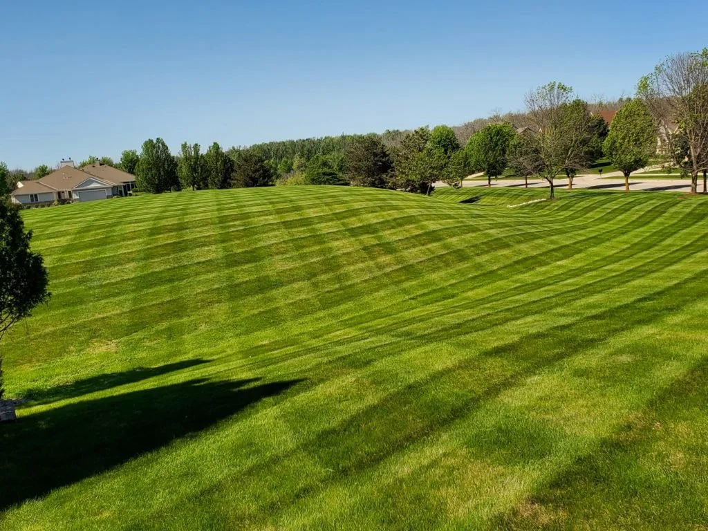 Maintenance Contract: What to Expect