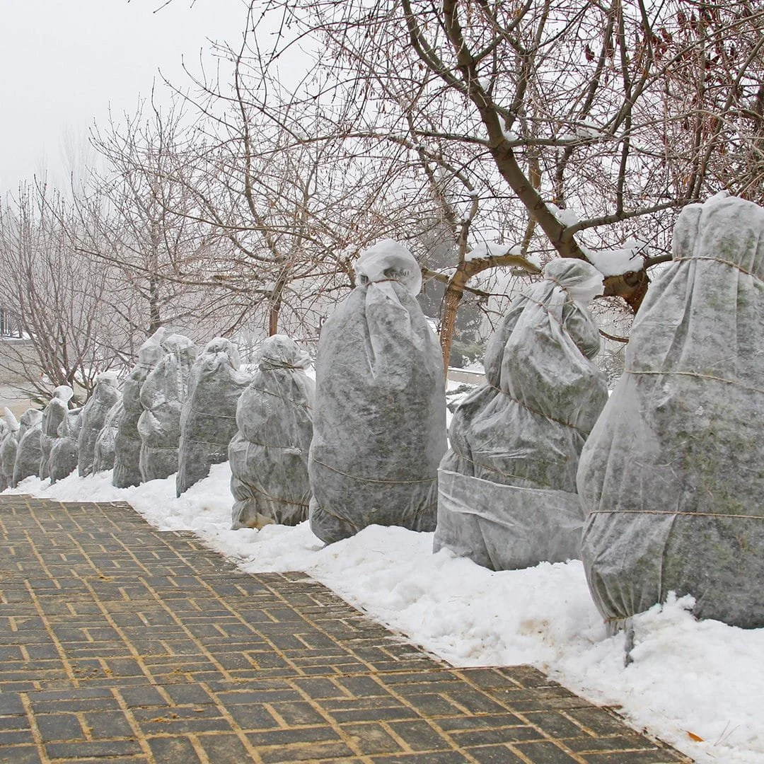 Fall Is The Perfect Time To Start Thinking Winter Landscape Protection