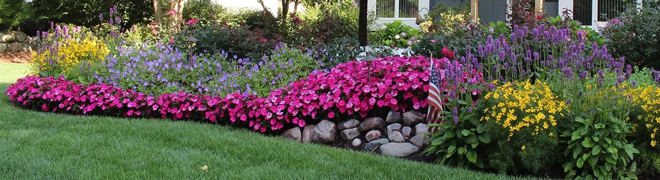 Our Favorite Flowers & Spring Color