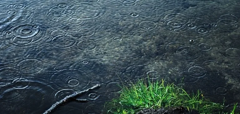 3 Effects of Excessive Rain on Your Commercial Property Landscape